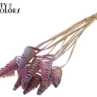 QC Palm Spirale sur tige | Couleur : Dégradé Rose | Cône de Canne Piquet | Longueur du piquet ± 50 centimètres | Par 10 piquets