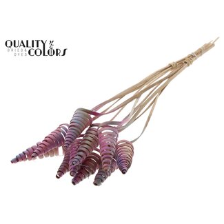 QC Palm Spiral on Stem | Colour: Gradient Pink | Cane Cone Plant Stake | Stake Length ± 50 centimetres | Per 10 stakes