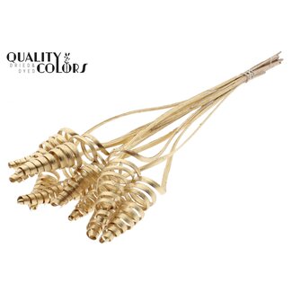 QC Palm Spiral on Stem | Colour: Antique Gold | Cane Cone Stick | Stick Length ± 50 centimetres | Per 10 sticks