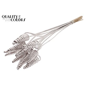 QC Palm Spiraal op steel | Kleur: Champagnekleurig | Cane Cone Bijsteker | Lengte bijsteker ± 50 centimeter | Per 10 bijstekers
