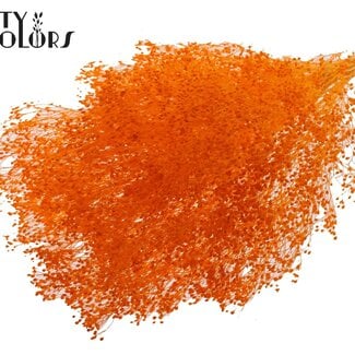 QC Bleached Dried Broom Bloom | Colour: Orange | Broom Dried Flowers | Length ± 50 centimetres | Weight 100 grams | Per bunch