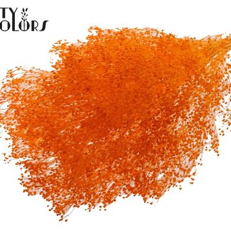 QC Broom Bloom Blanchi Séché | Couleur : Orange | Fleurs Séchées de Genêt | Longueur ± 50 centimètres | Poids 100 grammes | Par bouquet
