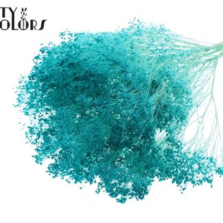 QC Gebleekte Gedroogde Broom Bloom | Kleur: Turquoise | Brem Droogbloemen | Lengte ± 50 centimeter | Gewicht 100 gram | Per bos
