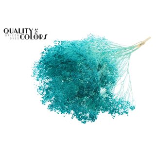 QC Gebleekte Gedroogde Broom Bloom | Kleur: Turquoise | Brem Droogbloemen | Lengte ± 50 centimeter | Gewicht 100 gram | Per bos