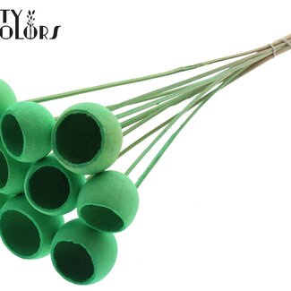 QC Bleached Dried Bellgums | Colour: Mint Green | Bell Cup Pick | Length ± 50 centimetres | 10 picks per bunch