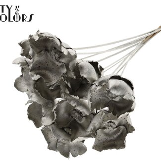 QC Dried Palm Cup on stem | Colour: Platinum | Length ± 50 centimetres | 10 stems per bunch