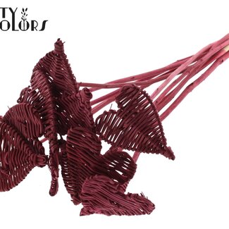 QC Rotan Lata Hart op stok | Kleur: Bordeauxrood | Lata Heart platte Bijsteker | Diameter 8 centimeter | Lengte ± 50 centimeter | 10 bijstekers per bos