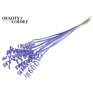 QC Palm Spiral on Stem | Colour: Milka Purple | Cane Cone Plant Stake | Stake Length ± 50 centimetres | Per 10 stakes
