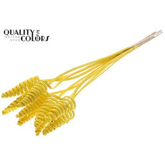 QC Palm Spiral on Stem | Colour: Yellow | Cane Cone Plant Stake | Stake Length ± 50 centimetres | Per 10 stakes