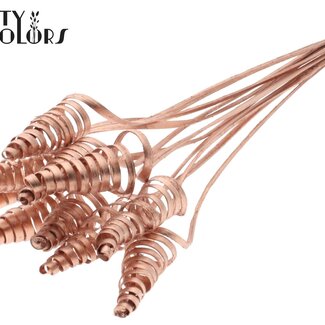 QC Palmspirale auf Stiel | Farbe: Kupferfarben | Cane Cone Pflanzstab | Länge Pflanzstab ± 50 Zentimeter | Pro 10 Pflanzstäbe