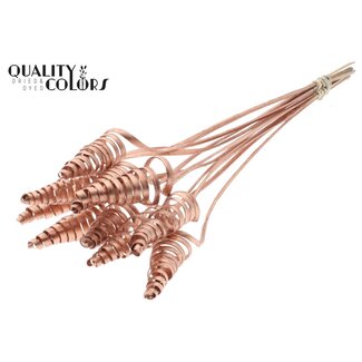 QC Palm Spiral on Stem | Colour: Copper | Cane Cone Plant Stake | Stake Length ± 50 centimetres | Per 10 stakes