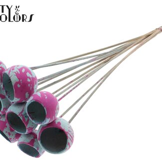 QC Bellgums séchées | Couleur : Éclaboussures bleu clair cerise | Bell Cup Piquet | Longueur ± 50 centimètres | 10 piquets par bouquet