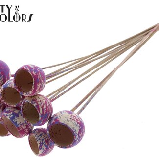 QC Dried Bellgums | Colour: Multicoloured Cherry-Coloured Milka Purple | Bell Cup Pick | Length ± 50 centimetres | 10 picks per bunch