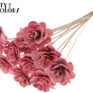 QC Shola-Rose am Stiel | Farbe: Hellrosa | Shola Beetal Rose | Durchmesser 8 centimeter | Länge ± 50 centimeter | 10 Bei-Stecker pro Bund | Pro Bund