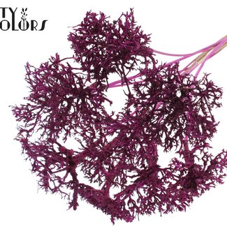 QC Dry Tree on stick | Colour: Lilac | Dry Tree Stick | Stick length ± 50 centimetres | 10 sticks per bunch