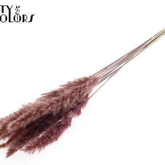 QC Getrocknete Fluffy Pampas Federn | Farbe: Rosa | Länge ± 70 Zentimeter | 10 Federn pro Bund | Pro Bund