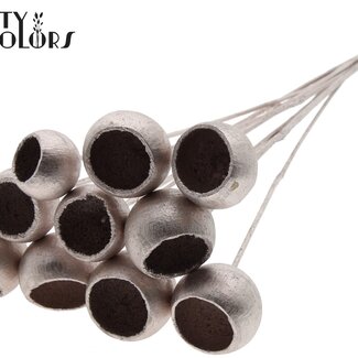 QC Bellgums séchées | Couleur : Champagne | Bell Cup Pique-fleurs | Longueur ± 50 centimètres | 10 piques-fleurs par bouquet