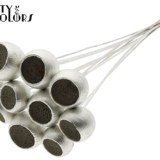 QC Dried Bellgums | Colour: Platinum | Bell Cup Pick | Length ± 50 centimetres | 10 picks per bunch