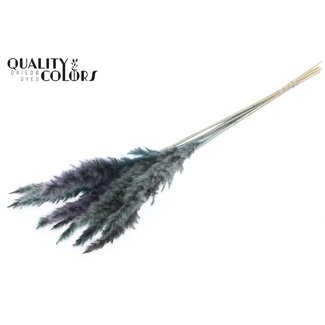 QC Dried Fluffy Pampas Plumes | Colour: Light Blue | Length ± 70 centimetres | 10 plumes per bunch | Per bunch