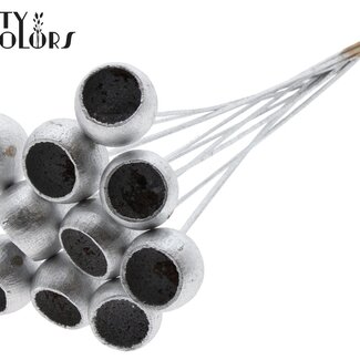 QC Dried Bellgums | Colour: Silver | Bell Cup Pick | Length ± 50 centimetres | 10 picks per bunch