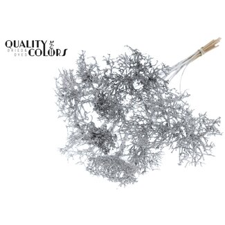 QC Dry Tree on stick | Colour: Metallic Silver | Dry Tree Stick | Stick length ± 50 centimetres | 10 sticks per bunch