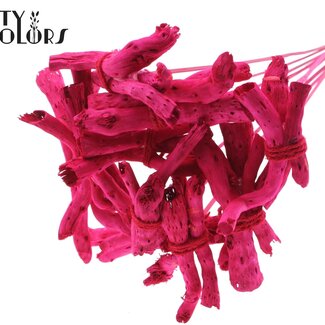 QC Gandiraj Écorces sur bâton | Couleur : Cerise | Gandiraj Piquet décoratif | Longueur ± 50 centimètres | 10 piquets décoratifs par bouquet