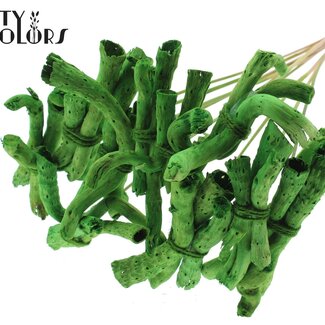 QC Gandiraj Bark on a Stick | Colour: Green | Gandiraj Decorative Stick | Length ± 50 centimetres | 10 decorative sticks per bunch