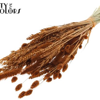 QC Boeket Gedroogde Bloemenmix | Kleur: Terracotta | Lengte ± 60 centimeter | Per bos