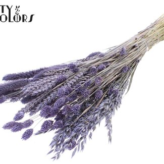 QC Bouquet de Fleurs Séchées Mixte | Couleur : Lait Mauve Givré | Longueur ± 60 centimètres | Par bouquet