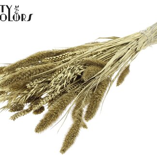 QC Bouquet de Fleurs Séchées Mixte | Couleur : Doré | Longueur ± 60 centimètres | Par bouquet