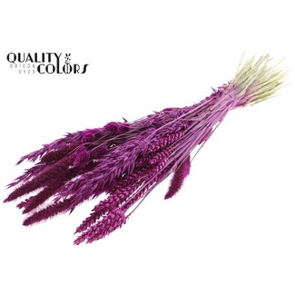 QC Boeket Gedroogde Bloemenmix | Kleur: Lilakleurig | Lengte ± 60 centimeter | Per bos