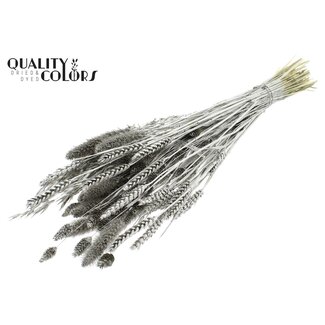 QC Trockenblumenstrauß-Mix | Farbe: Platinfarben | Länge ± 60 Zentimeter | Pro Bund