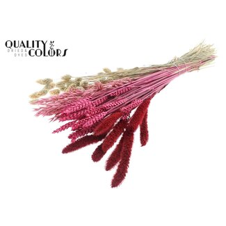 QC Boeket Gedroogde Bloemenmix “Lady Mix” | Kleur: Gemengde Kleuren | Lengte ± 60 centimeter | Per bos