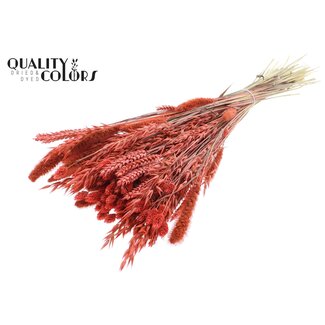 QC Boeket Gedroogde Bloemenmix | Kleur: Koraalkleurig | Lengte ± 60 centimeter | Per bos