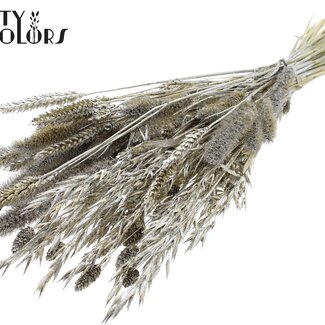 QC Dried Flower Mix Bouquet | Colour: Platinum with Glitter | Length ± 60 centimetres | Per bunch