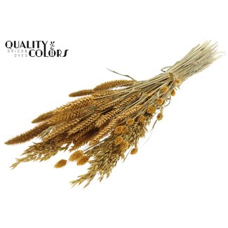 QC Boeket Gedroogde Bloemenmix | Kleur: Abrikooskleurig | Lengte ± 60 centimeter | Per bos