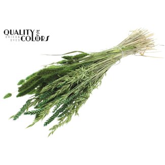 QC Boeket Gedroogde Bloemenmix | Kleur: Lichtgroen | Lengte ± 60 centimeter | Per bos