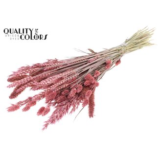 QC Boeket Gedroogde Bloemenmix | Kleur: Frosted Roze | Lengte ± 60 centimeter | Per bos