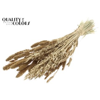 QC Strauß Getrocknete Blumenmischung | Farbe: Antik Goldfarben | Länge ± 60 Zentimeter | Pro Bund