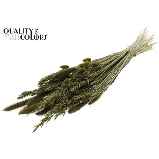 QC Boeket Gedroogde Bloemenmix | Kleur: Olijfgroen | Lengte ± 60 centimeter | Per bos
