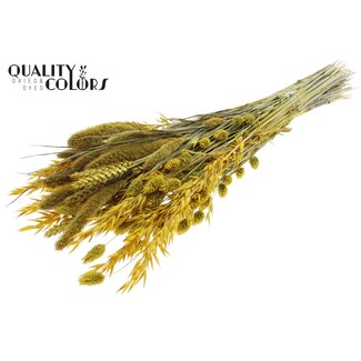 QC Boeket Gedroogde Bloemenmix | Kleur: Geel | Lengte ± 60 centimeter | Per bos