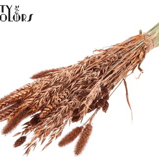 QC Trockenblumenmischung Bouquet | Farbe: Kupferfarben mit Glitzer | Länge ± 60 Zentimeter | Pro Bund