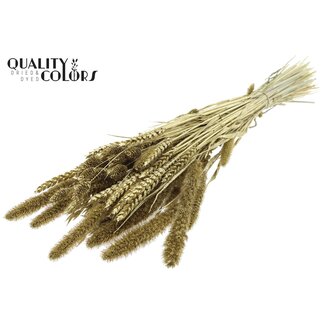 QC Boeket Gedroogde Bloemenmix | Kleur: Goudkleurig met Glitter | Lengte ± 60 centimeter | Per bos