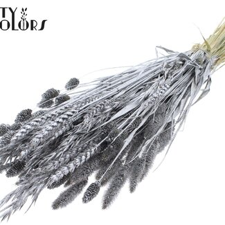 QC Bouquet of Dried Flower Mix | Colour: Silver with Glitter | Length ± 60 centimetres | Per bunch