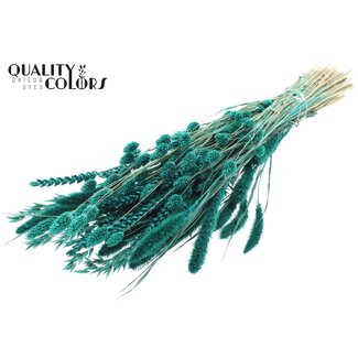 QC Strauß Getrocknete Blumenmischung | Farbe: Türkis | Länge ± 60 Zentimeter | Pro Bund