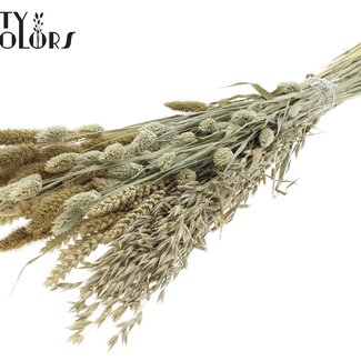 QC Bouquet de Fleurs Séchées Mixte | Couleur : Naturel | Longueur ± 60 centimètres | Par bouquet