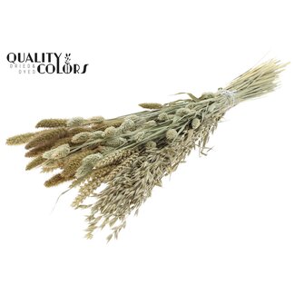 QC Boeket Gedroogde Bloemenmix | Kleur: Naturel | Lengte ± 60 centimeter | Per bos