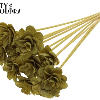QC Shola Houten Rose sur tige | Couleur : Vert olive | Shola Beetal Rose Pique-fleur | Diamètre de la rose 6 centimètres | Longueur du pique-fleur ± 50 centimètres | 10 piques-fleurs par bouquet