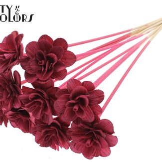 QC Shola Houten Rose sur tige | Couleur : Bordeaux | Shola Beetal Rose Pique-fleur | Diamètre de la rose 6 centimètres | Longueur du pique-fleur ± 50 centimètres | 10 piques-fleurs par bouquet