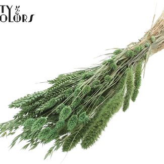 QC Strauß Getrocknete Blumenmischung | Farbe: Frosted Mintgrün | Länge ± 60 Zentimeter | Pro Bund